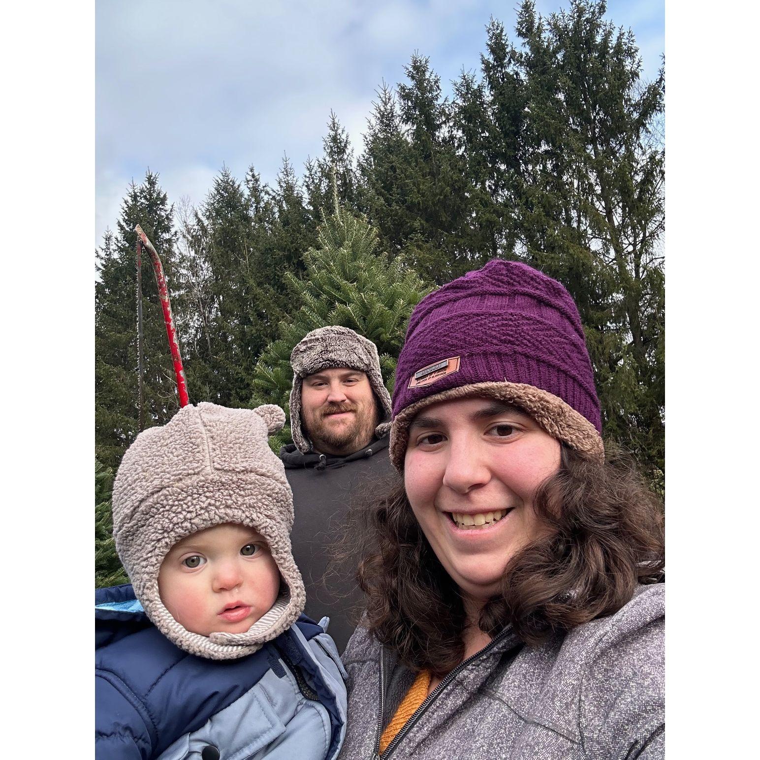 Second Christmas tree shopping!
