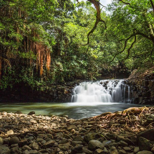 Haiku Hawaii Waterfall Hike in a Royal Wild Tropical Gardens by VEBO®