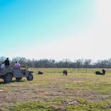Animal Safari Tour