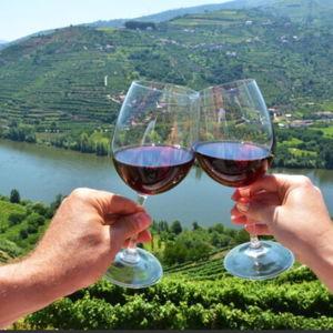 Wine tasting in Porto