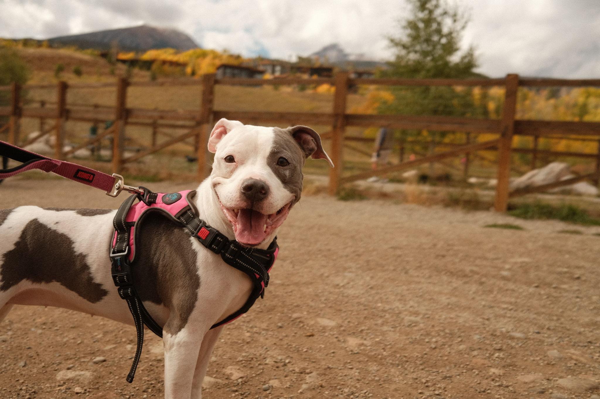 8fb54c63-55c9-4c14-b922-7e28f75128f8