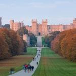 Windsor
