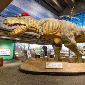 Museum of Science Membership (Basic 2)