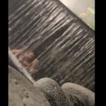 Hot Springs