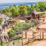 Cheyenne Mountain Zoo