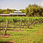 Hill Country Wine Trail