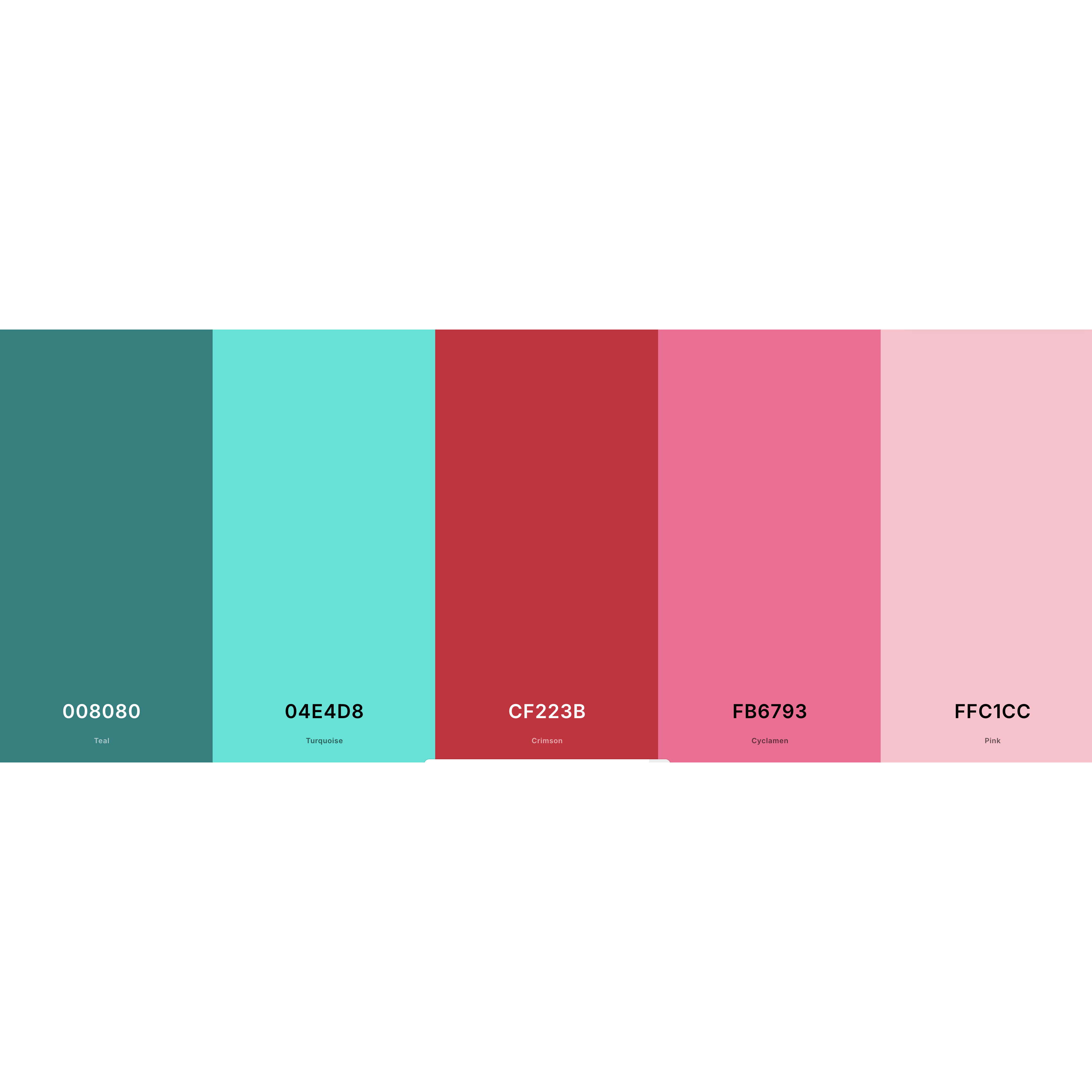 Wedding Color Palette!
Teal is Carol's favorite color and Electric Pink is Ben's favorite color!