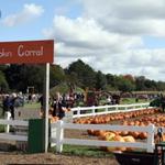 Gull Meadow Farms