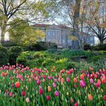 Cheekwood Botanical Gardens & Estate