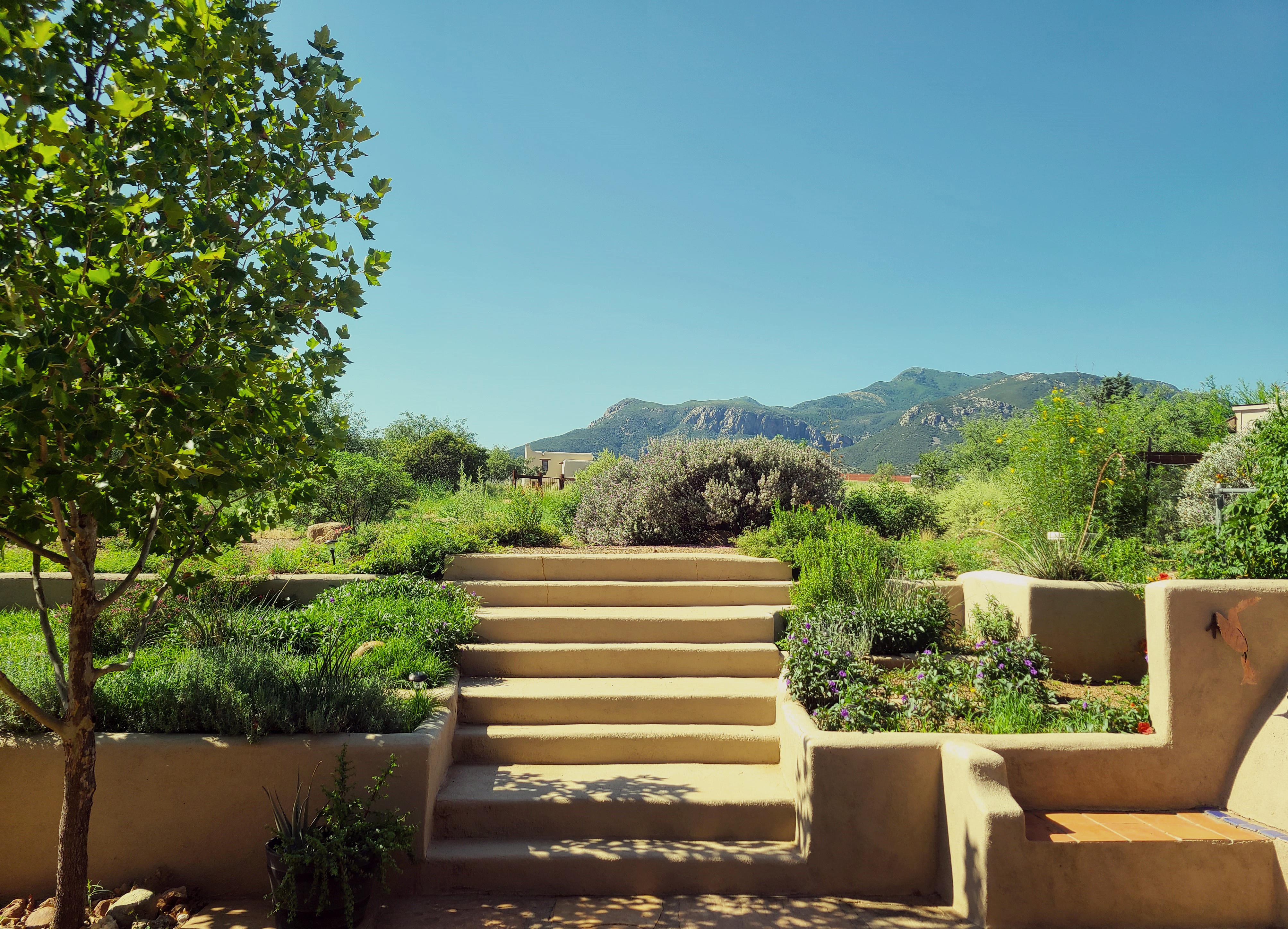 The Wedding Website of Tristan Black and Michael Colla