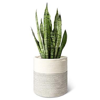 Mkono Cotton Rope Plant Basket Modern Indoor Planter Up to 11 Inch Pot Woven Storage Organizer with Handles Home Decor Christmas Gift Idea, 12" x 12"