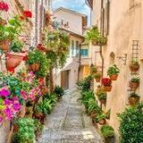 Spello