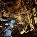 Shasta Caverns Visitor Center
