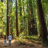 Hendy Woods State Park