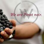 Willamette Valley Wineries & Vineyards