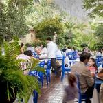 Restaurante: El Ciruelo