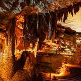 Mammoth Cave National Park