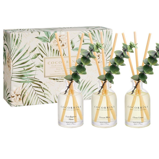 COCORRÍNA Eucalyptus Reed Diffuser Set of 3 - Eucalyptus & Moss, Clean Linen, Ocean Mist Scents, 1.7 fl oz Each, Total 5.1 oz, Scented Oil Diffusers for Home & Office