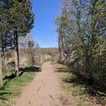Branford Trolley Trail and Footbridge