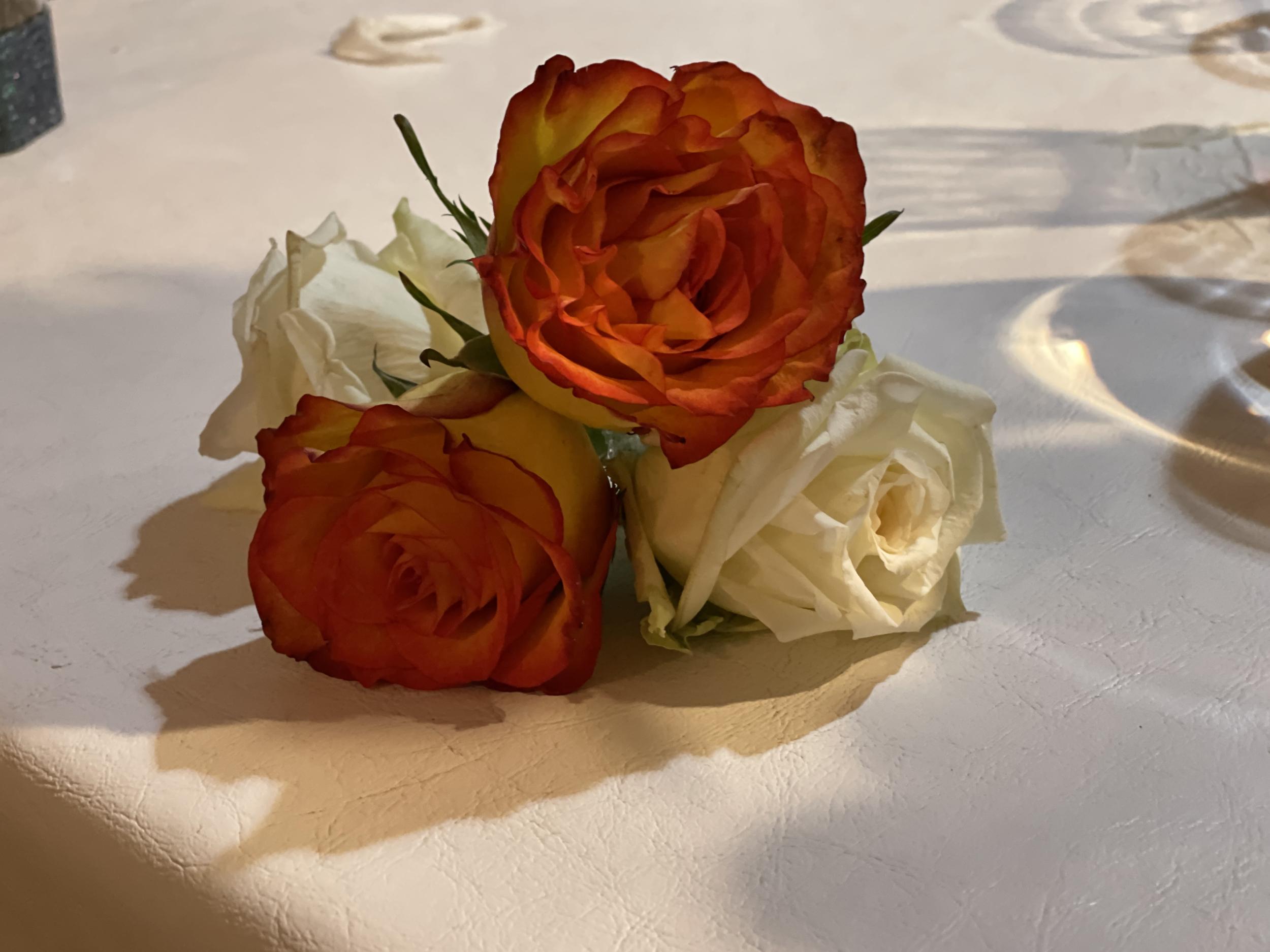 The Wedding Website of Christina Busche and Kaidon Scheel