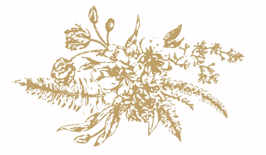 The Wedding Website of Drew Pethel and Alex Palumbo