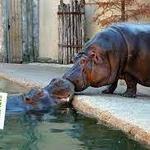 Fort Worth Zoo