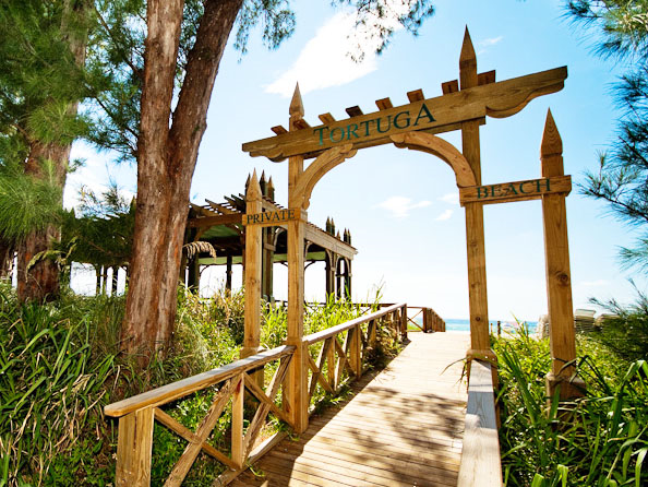 The Wedding Website of Abby Engler and Jesse Cammer