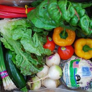 Klesick Farms - 1 Month Fruit & Veggie Delivery