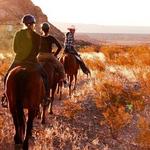 Big Bend & Lajitas Stables