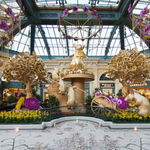Fountains of Bellagio and Botanical Garden