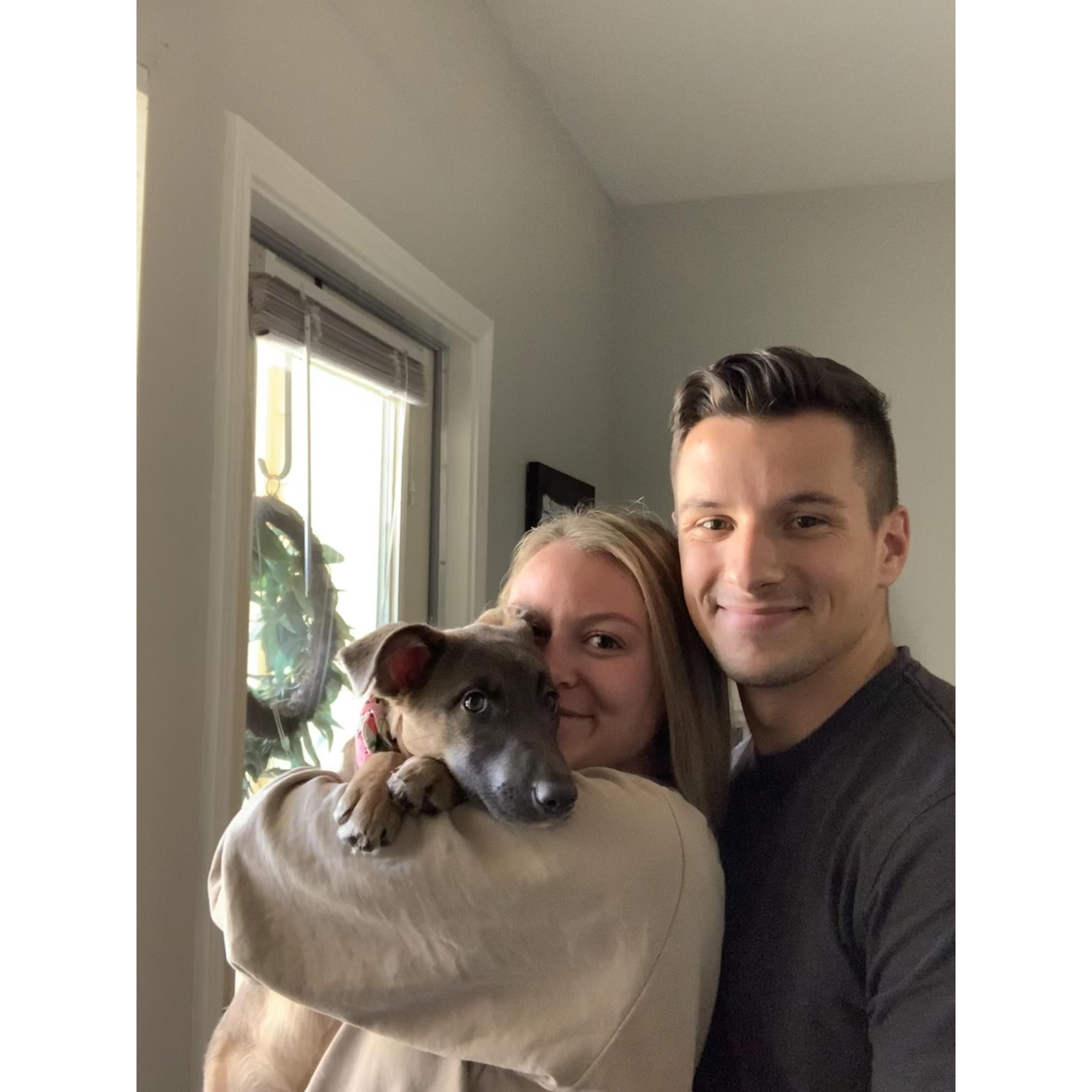 Adopting our second dog, Nova!