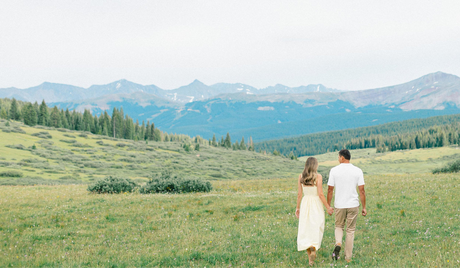 The Wedding Website of Abigail Lexi and Mitchell Douglas