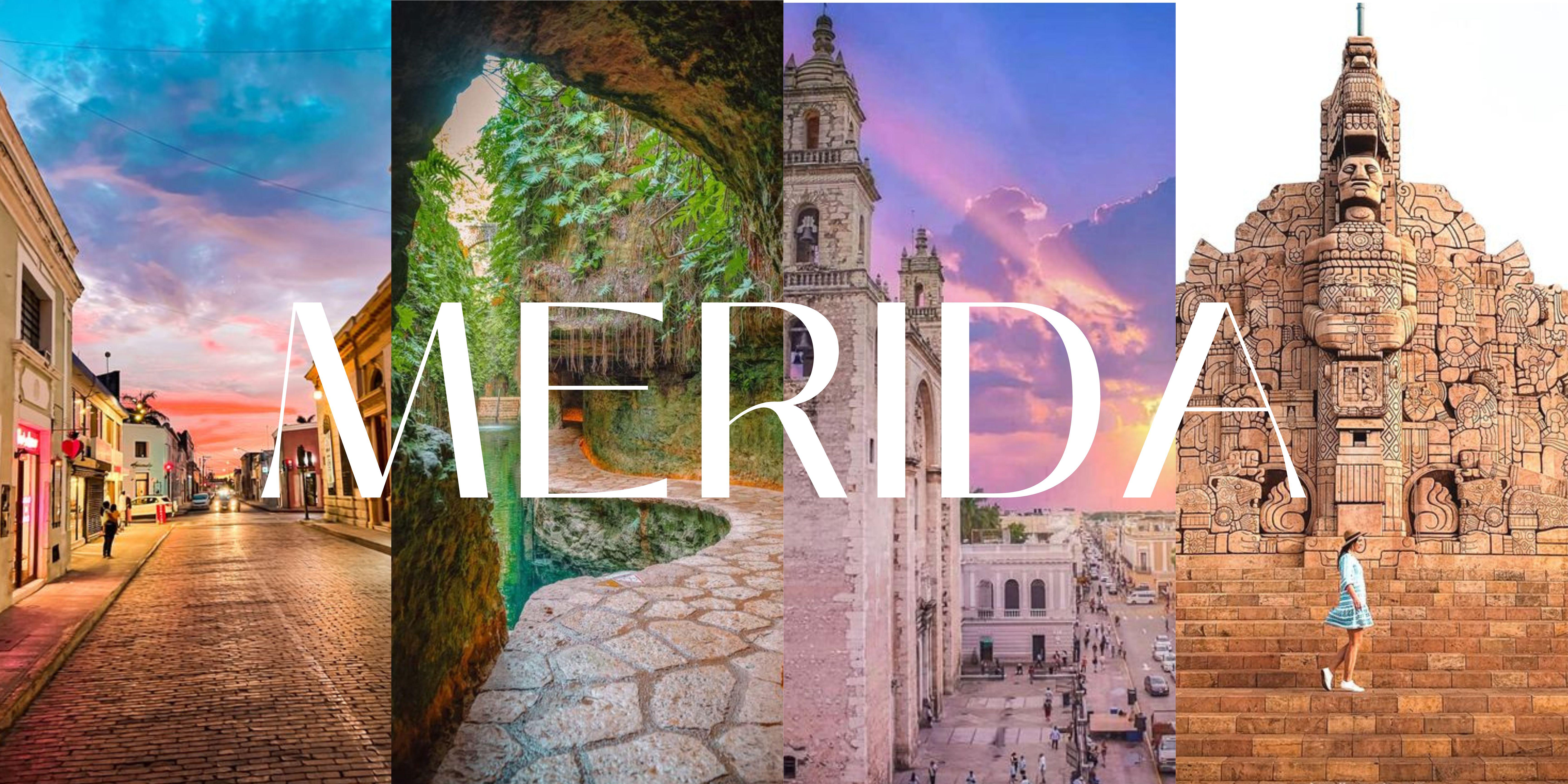 The Wedding Website of Ximena De la Selva and Leo Bourgeois