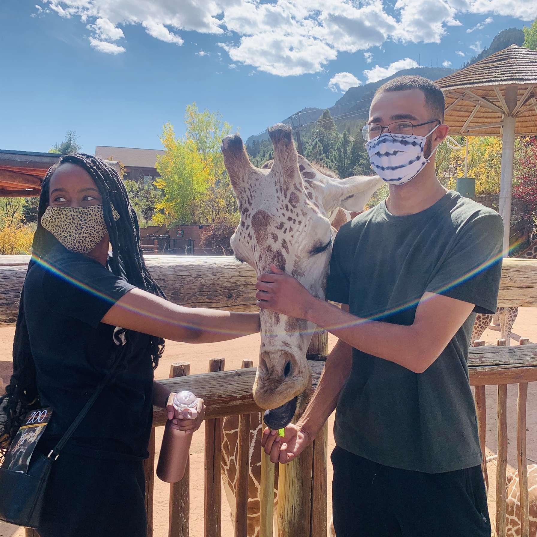 Feeding giraffes on a mountain? Yes please!
