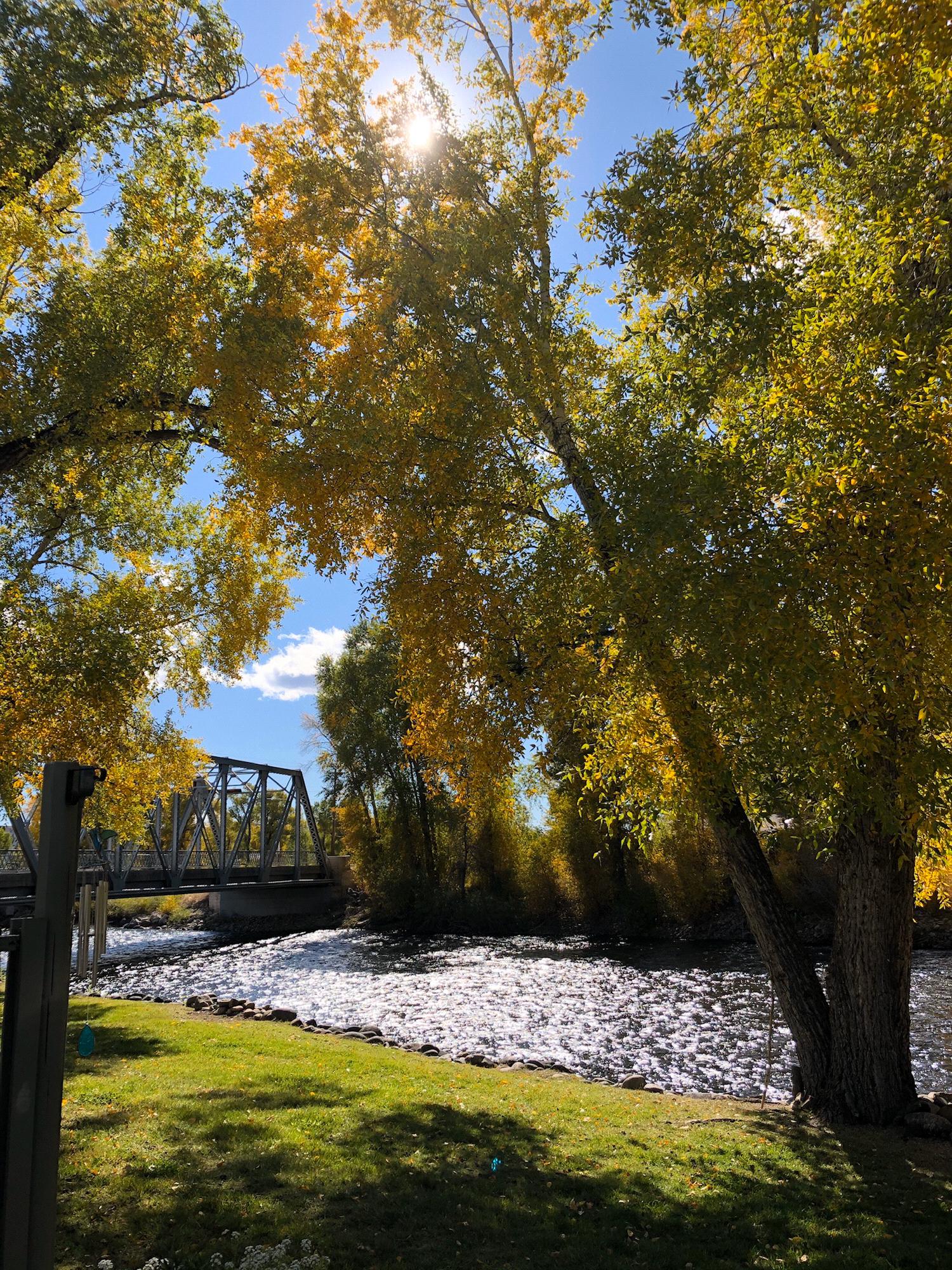 Gunnison, CO