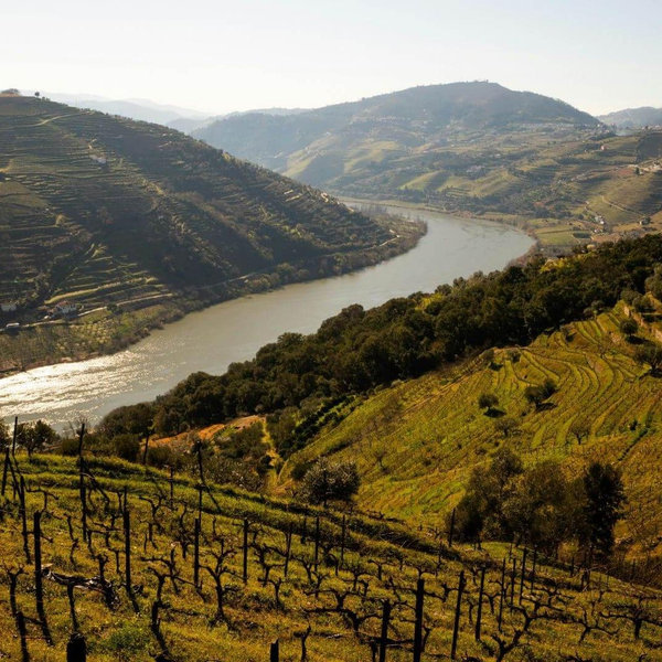 Day 5 - Travel to Douro Valley