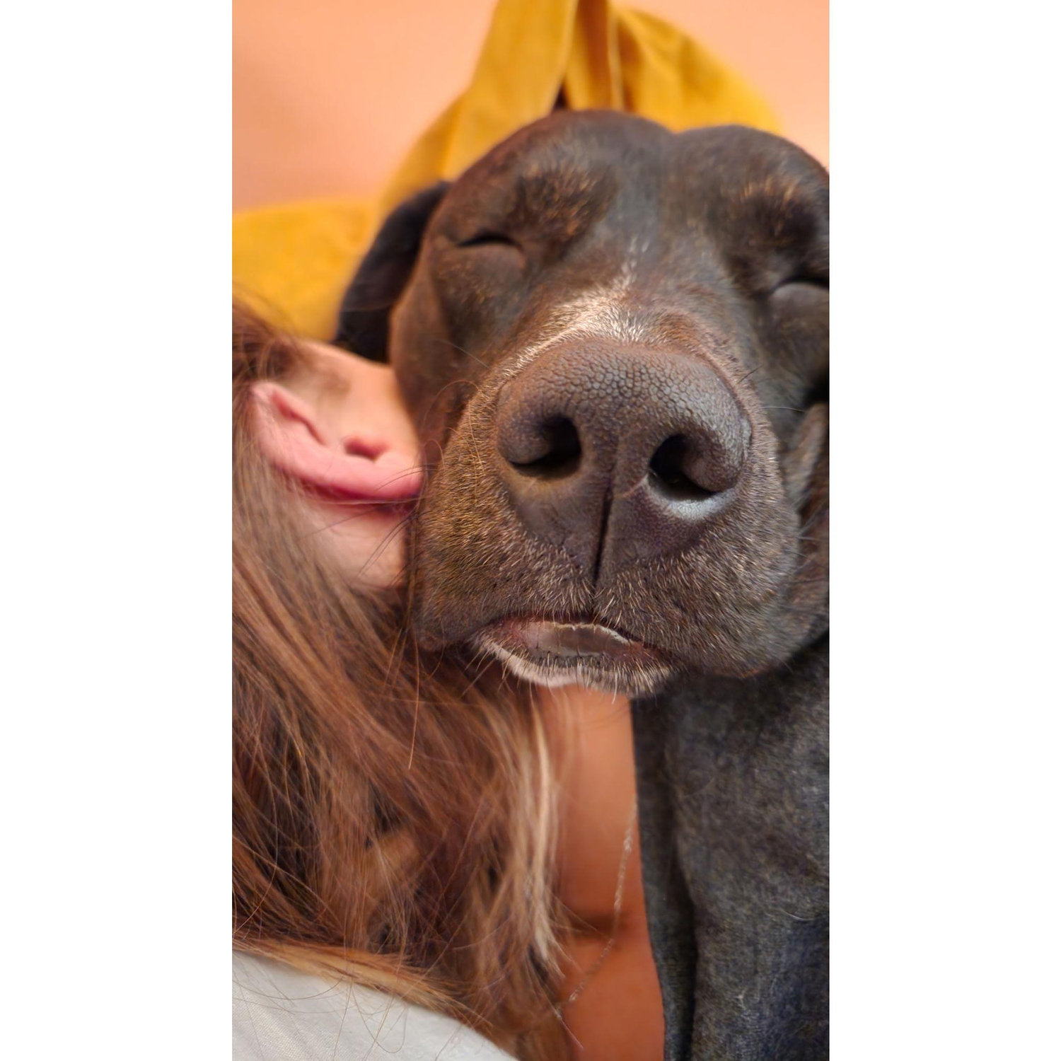 A snuggle between a fur baby and her mother.