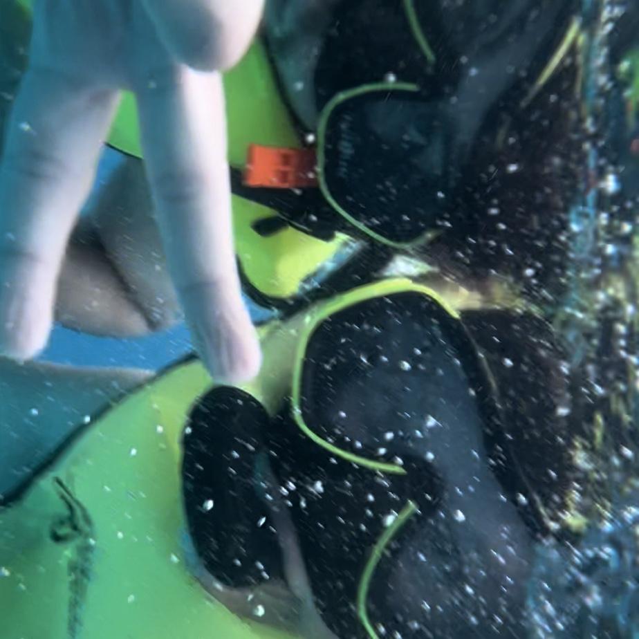 Us snorkeling in the Bahamas!