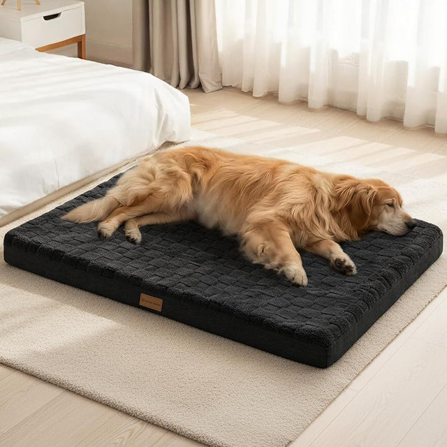 Patas Lague Orthopedic XL Dog Bed Large Sized Dog 48''X30'', Waterproof Soft Comfortable Egg Crate Foam Large Pet Beds Crate Mat with Removable Washable Cover and Nonskid Bottom, Black