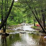 Caledonia State Park
