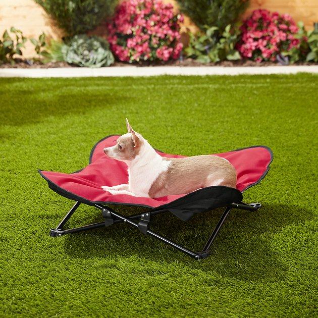 HDP Padded Napper Elevated Dog Bed, Red, Medium - Chewy.com