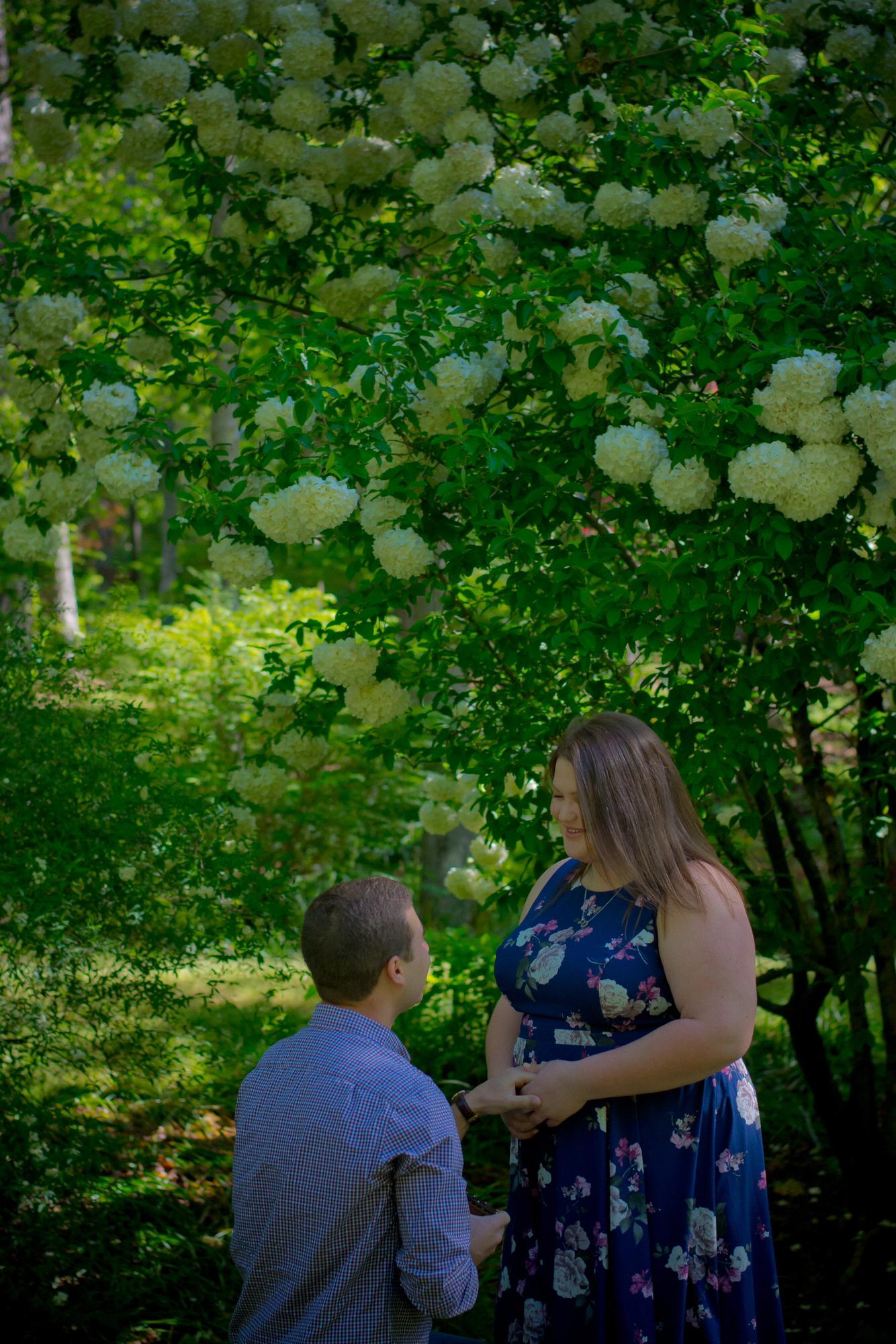 The proposal