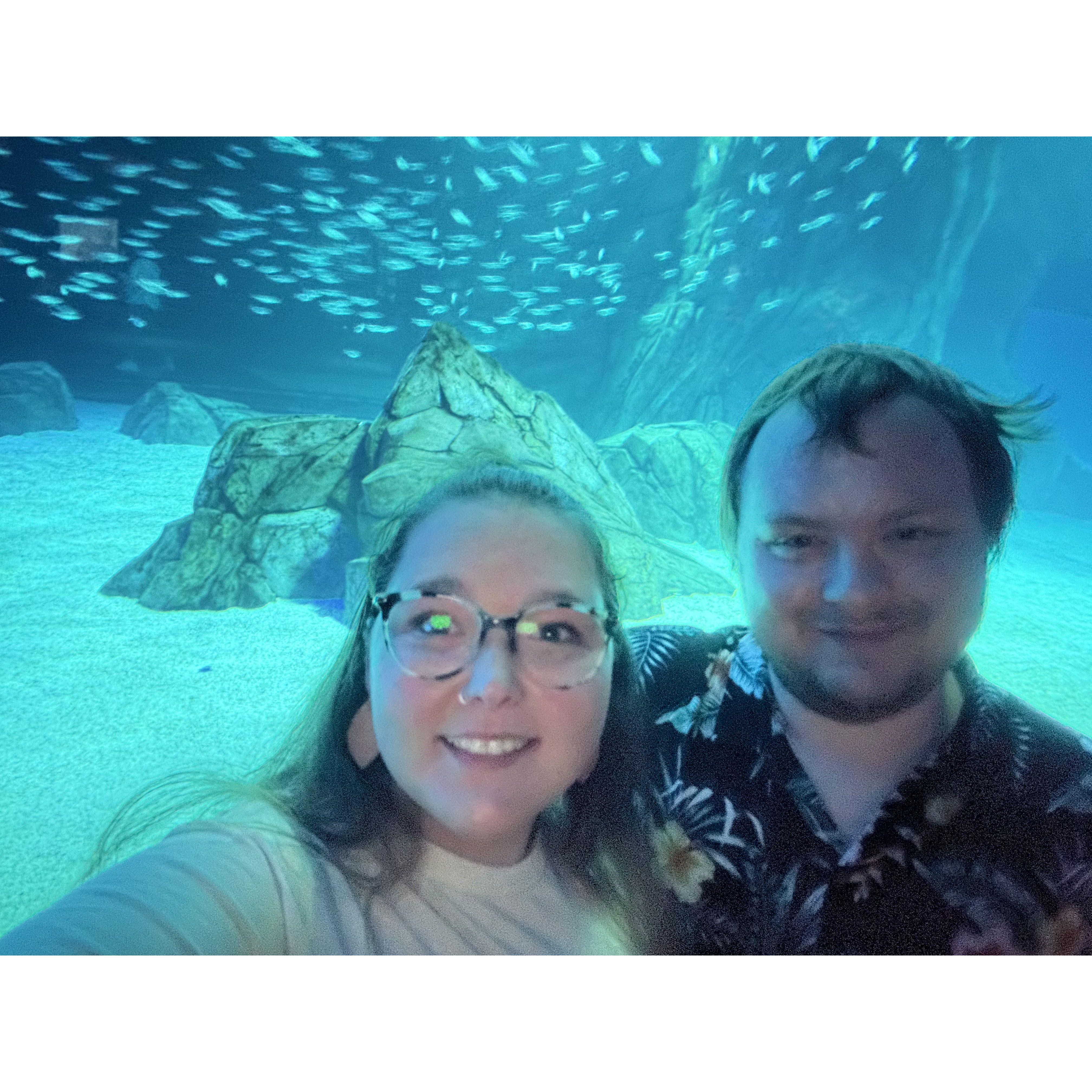 Our anniversary trip to the Georgia Aquarium