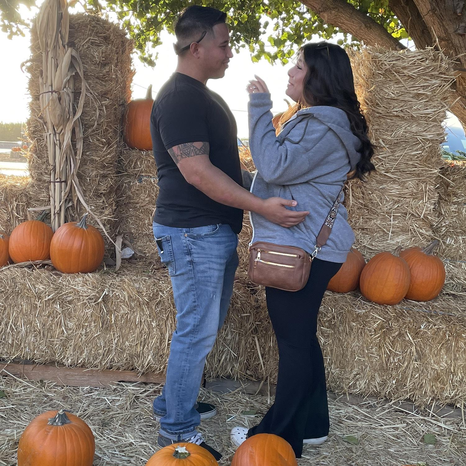 2024 Pumpkin patch