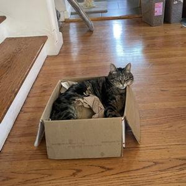 House Fund