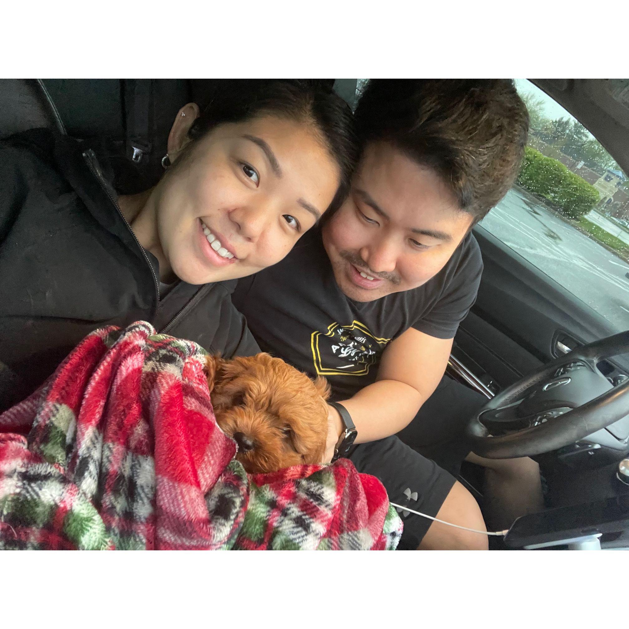 When we first got little Winston in 2022.