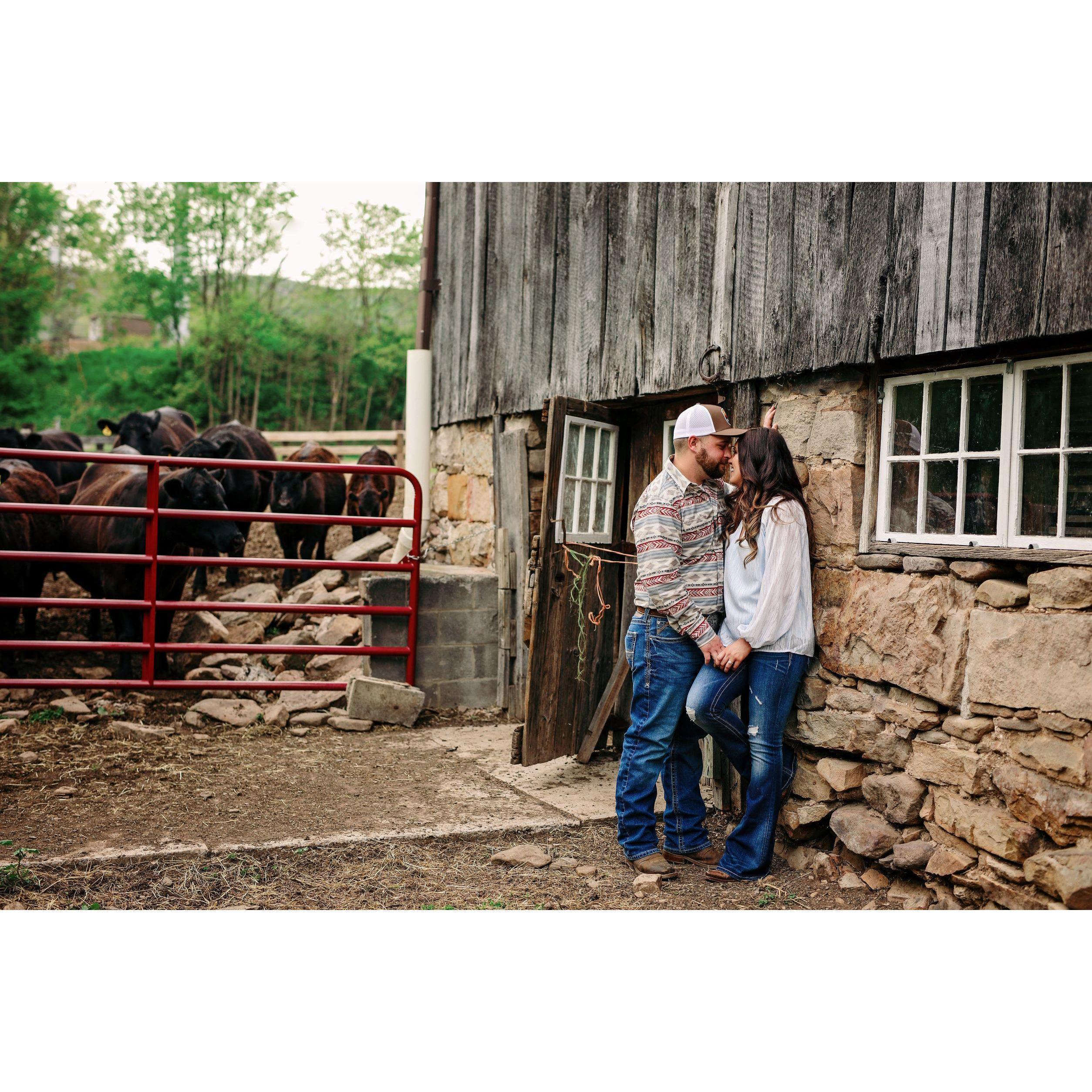 Engagement pictures!