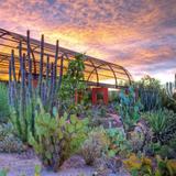 Desert Botanical Garden