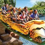 Busch Gardens Tampa Bay