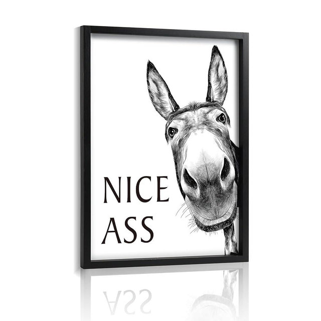 Framed Bathroom Wall Art Nice Ass, Donkey in Bathroom for Bathroom Wall Decor Farmhouse Home Bathroom Decor Sets Funny Bathroom Signs (11"x14",Black)